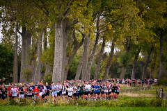 Athora Bruges Marathon 2025, photo by Tomas Sisk / Golazo